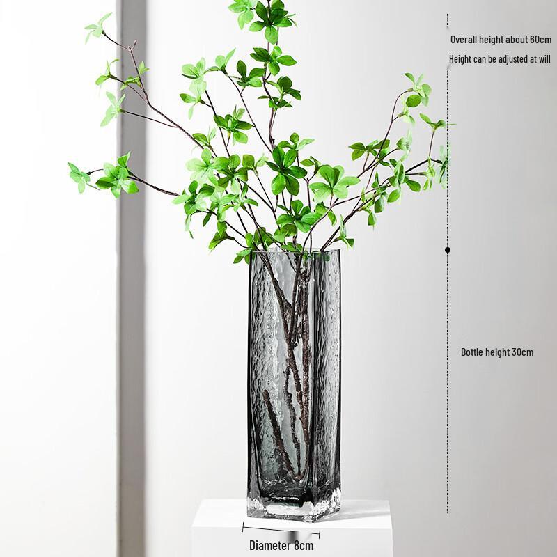 HC Creative Transparent Glass Vase