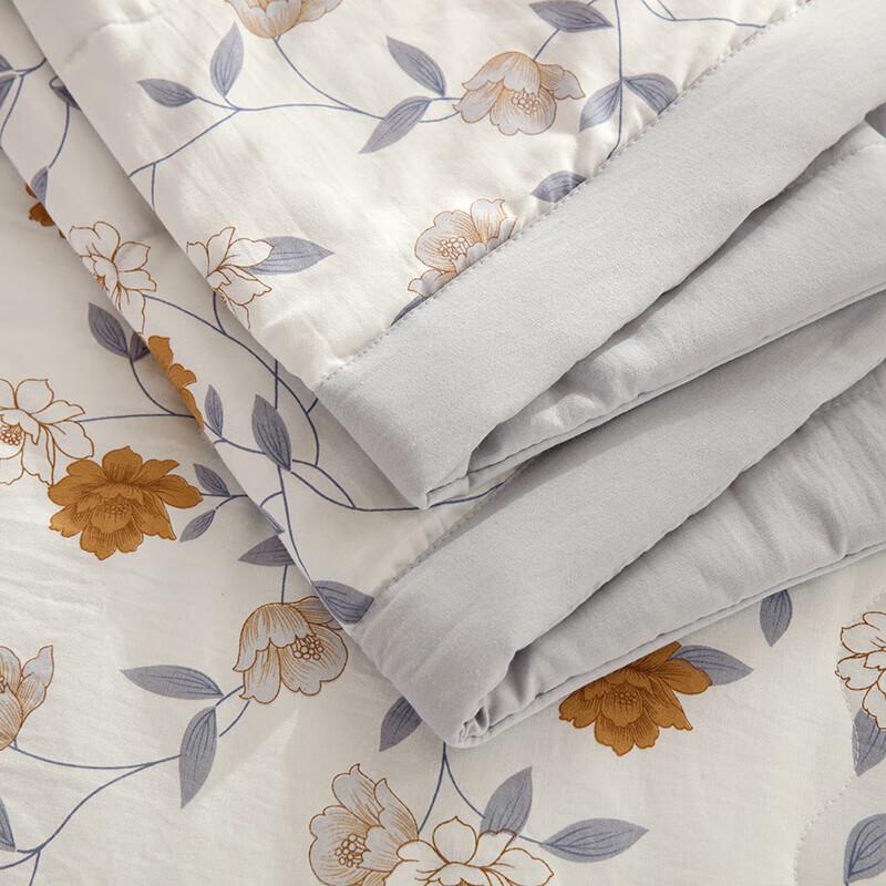 Junxiang Zhenxin Orchidee Sommerdecke