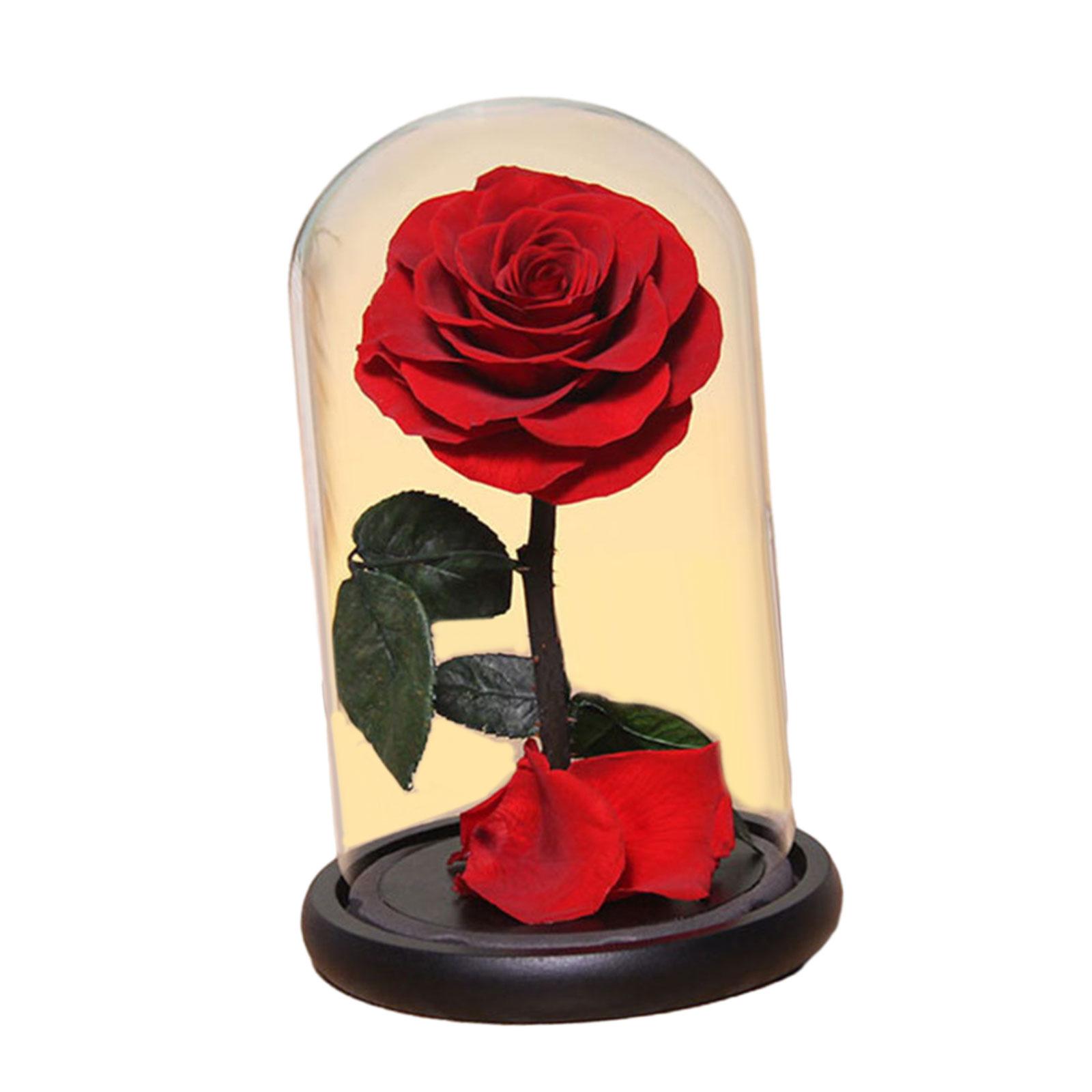 

Valentines Day Gifts for Mom,Eternal Rose in Glass Dome, Valentines Day Decor