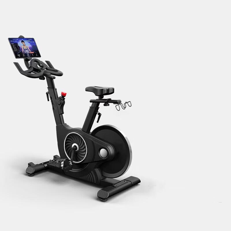 Pioneer Indoor Cycling Bike