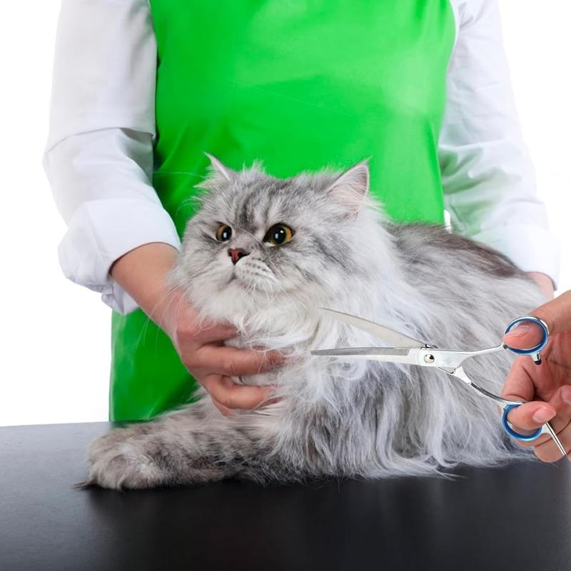 Hairdressing Scissors Grooming Set for Cutting Dogs and Cats