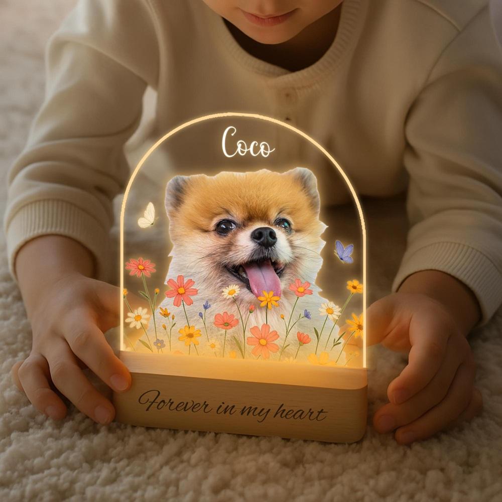 Individuelles Herzförmiges Gedenkstück für Hunde, damit Hundebesitzer Haustiermemoiren schätzen können, Bildplakette, Personalisierter Acryl-Fotorahmen