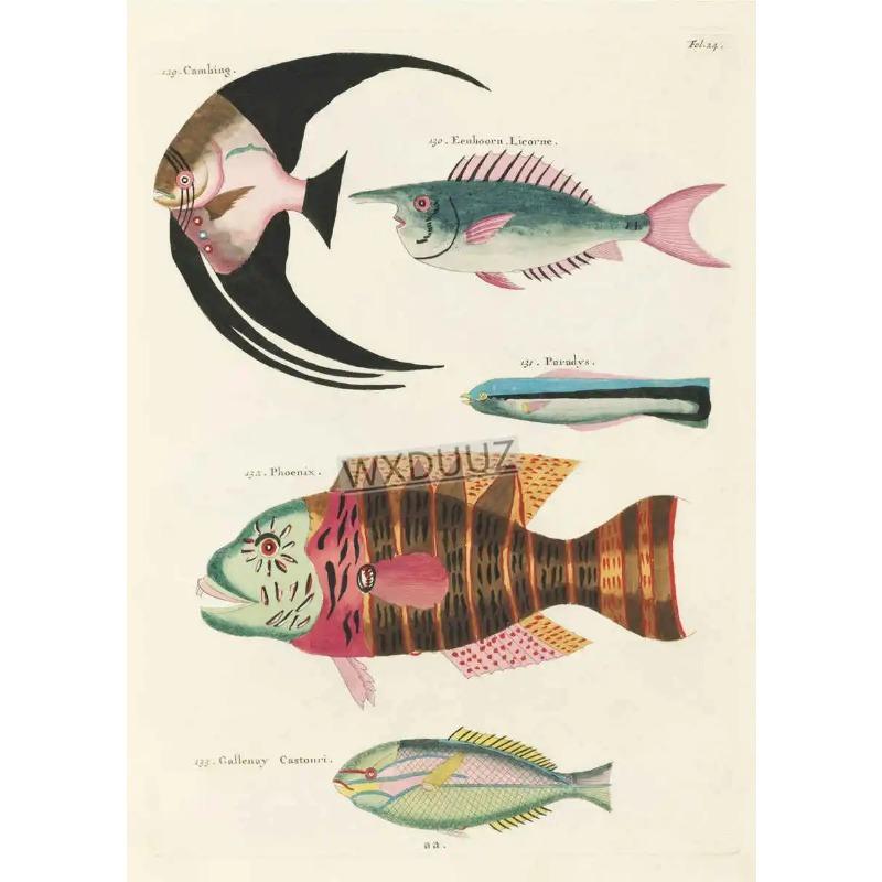 Vintage Insect Birds Fish Animal Educational Posters Home Bar Cafe Decor Art Wall Painting Wall Decor Poster Canvas Painting