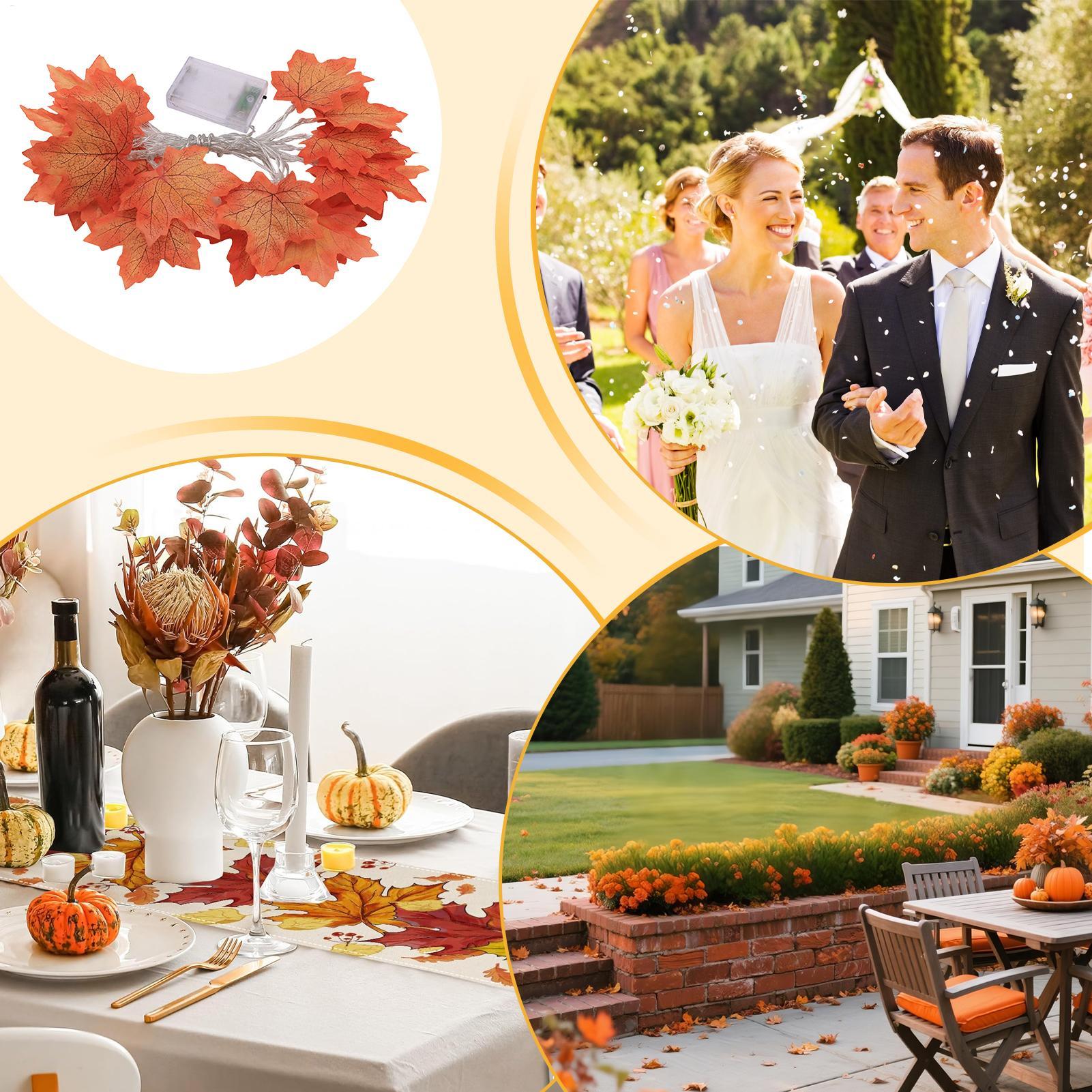 

Autumn Maple Leaf Lights Festive 19.69Ft Lighting Lighted Fall Garland Maple Leaves For Party Dorm Home Yard Garden Wedding Fall China Mainland