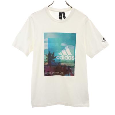 Adidas Short Sleeve T-shirt L White Men's Used