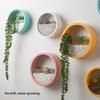 Wall Mounted Plant Hanging Container Easy No Tool Setups Ideal For Green Decoration Vertical Gardening In Compact Area