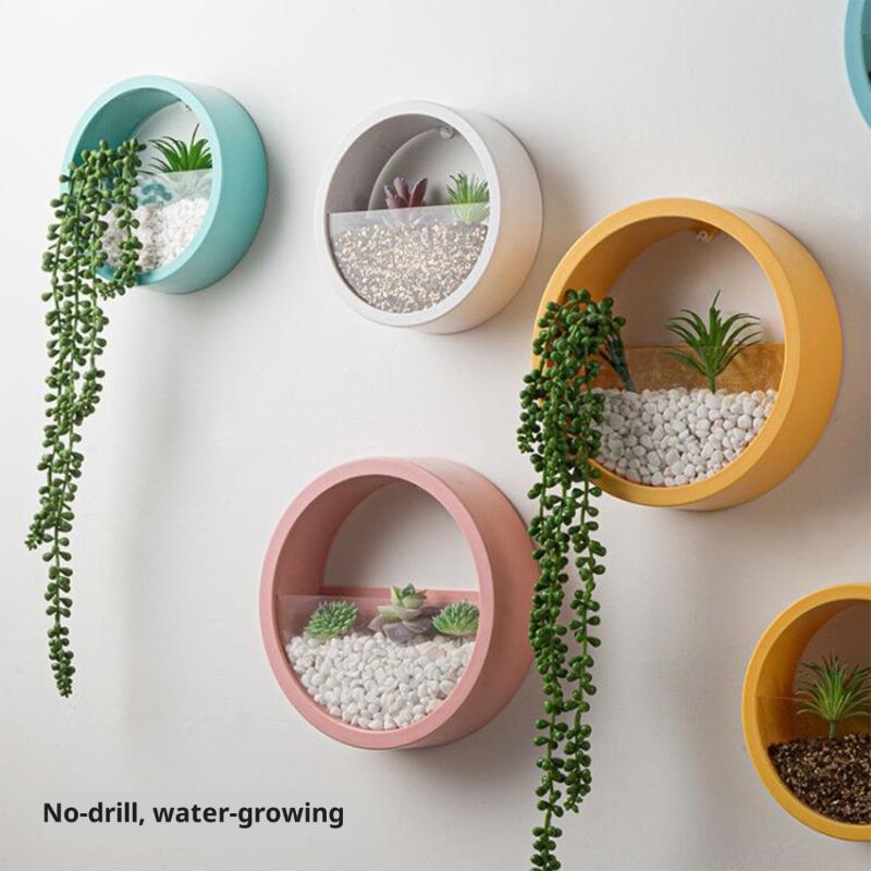 Wall Mounted Plant Hanging Container Easy No Tool Setups Ideal For Green Decoration Vertical Gardening In Compact Area