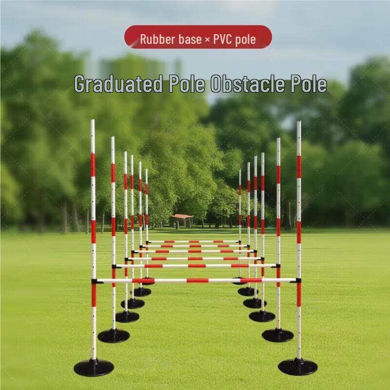 Lin Shisheng Combat Fitness Obstacle Pole Set