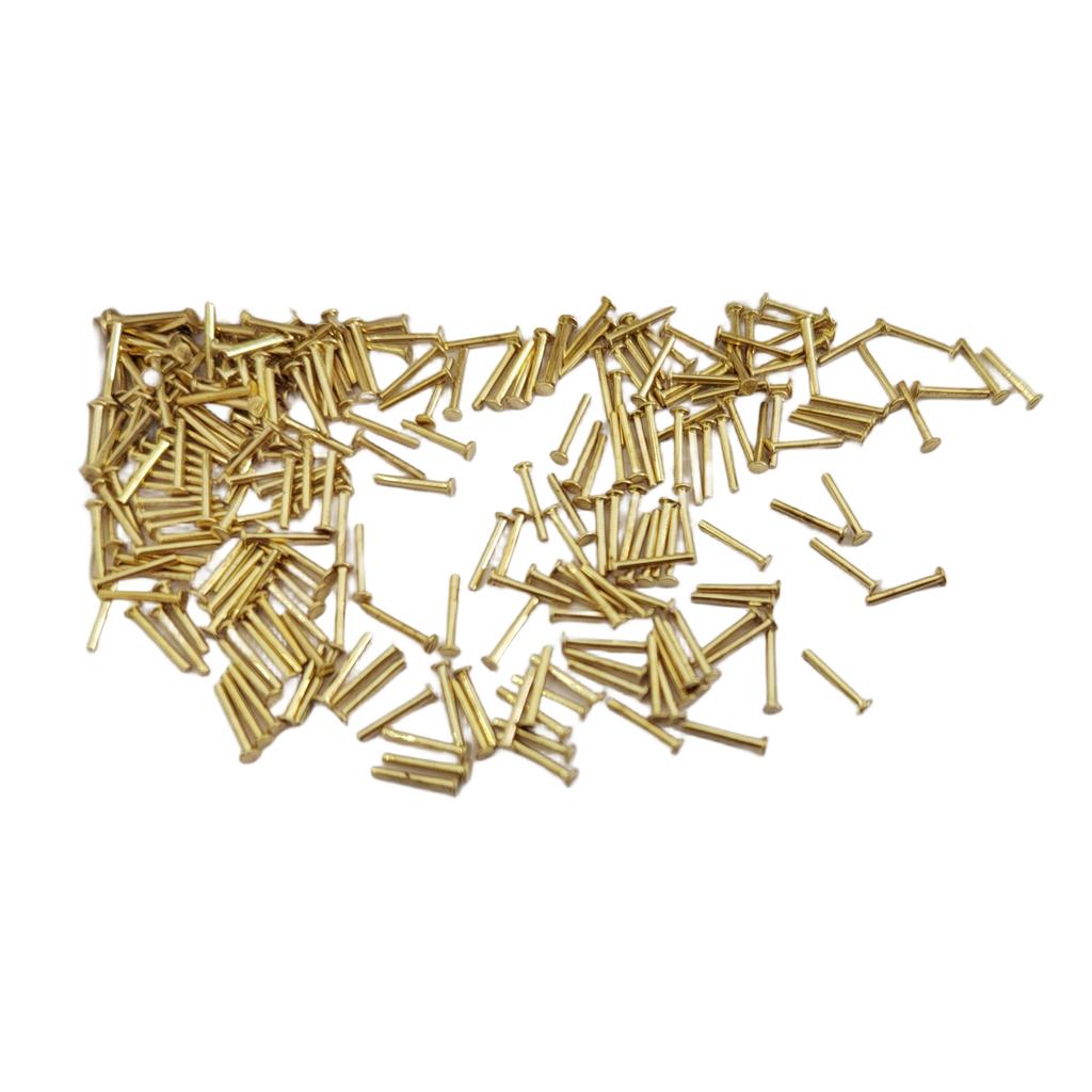 Lunghezza 6 mm Chiodo in Ottone Accessori Modello Nave Ponte Barca Chiodi in Ottone Personalizzati Modello Edificio Chiodo Piccolo in Ottone 6Gbag