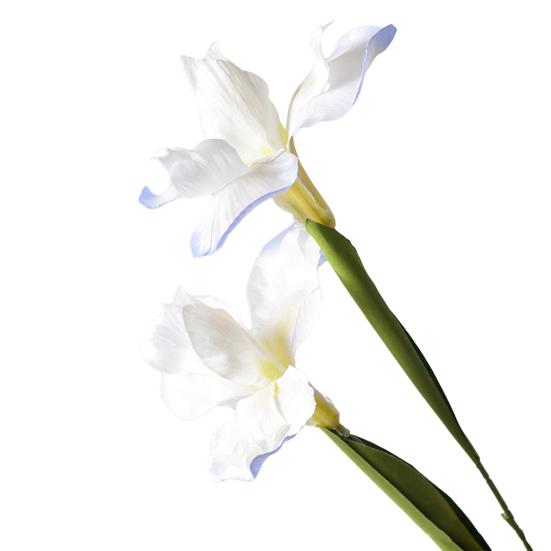 Artificial Iris Flower 2 Heads Faux Silk Flower Bouquet Long Stem Fake Iris Flowers for Floral Arrangements Table Centerpiece Party Wedding Decor