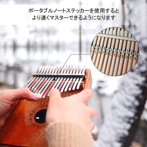 GECKO Kalimba 17-key thumb piano with EVA protective case, hammer, and study guide.