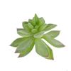 Diy Simulated Succulent Plant Hair Planting, Mini Fake Succulent Bonsai With Flowers, More Than 20 Styles Of Bn1