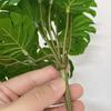 Simulated Plant Fine Workmanship Decorative Realistic Full of Vitality No Watering Decorate Rattan Leaves Long Lasting No Wither Imitation Plant for