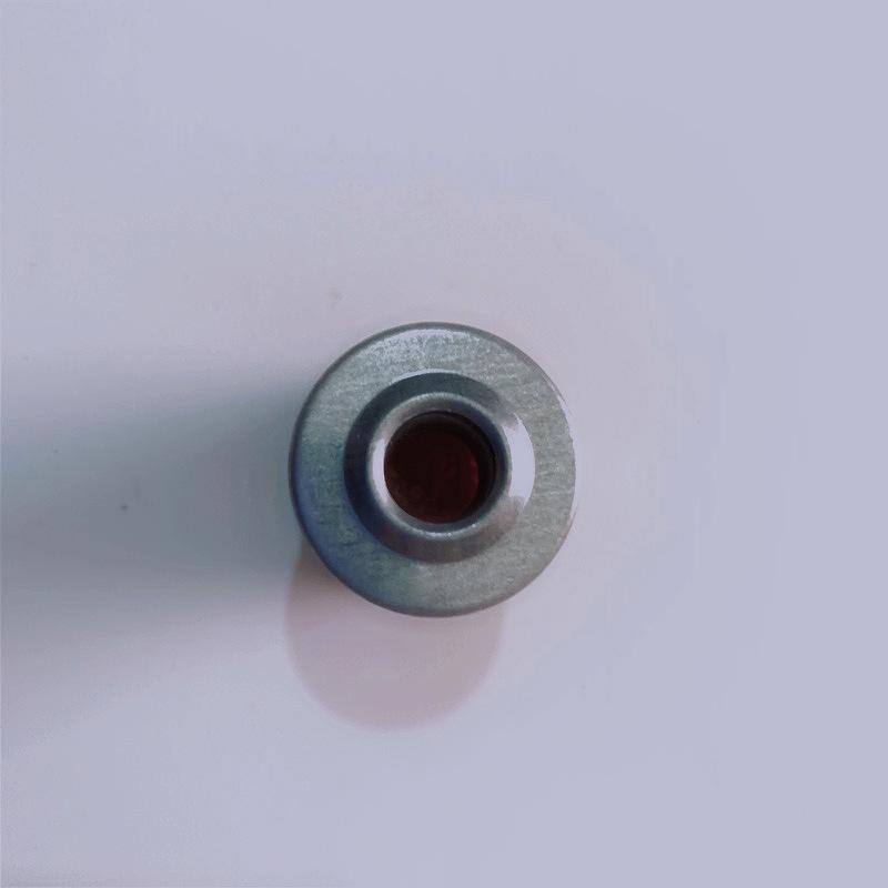 QS125/GS125/GT125 Junlong Gasoline Filter Element