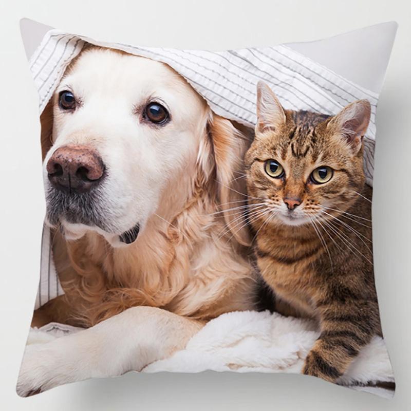 Cute Kitty Series Decorative Pillowcase Office Decoration Living Room Bedroom Children's Room Home Decoration Pillowcase