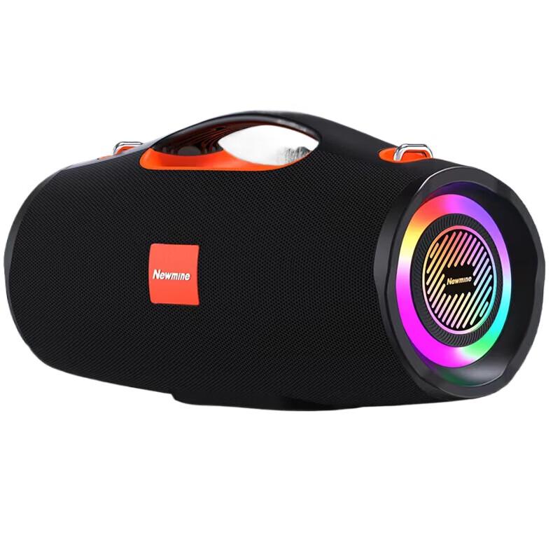 Newman BT100 Outdoor Karaoke Bluetooth Speaker