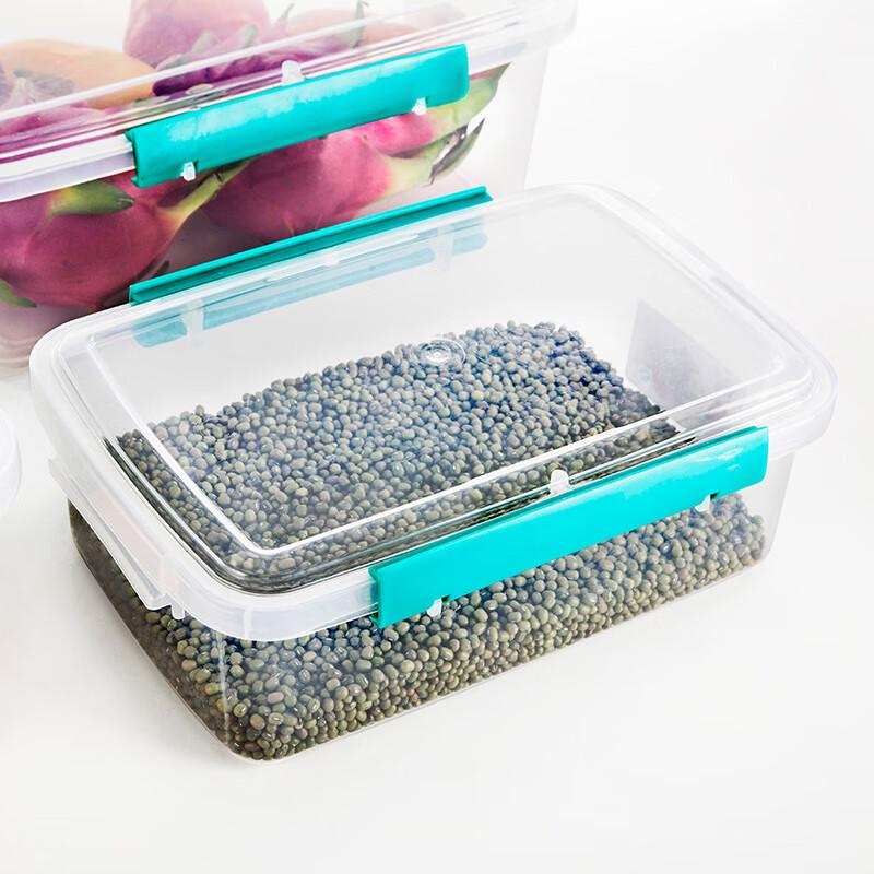 Welshine 0256 Buckle Refrigerator Storage Box