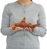 Calorata Scalloped Hammerhead Shark Plush Toy (SmallSoft Touch) Realistic Shark Animal Toy Doll Gift Present Birthday (Twice Tested)  Christmas