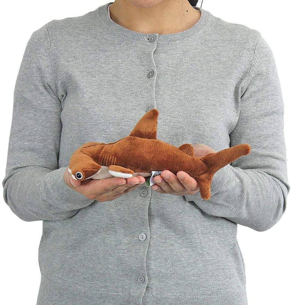 Calorata Scalloped Hammerhead Shark Plush Toy (SmallSoft Touch) Realistic Shark Animal Toy Doll Gift Present Birthday (Twice Tested)  Christmas