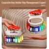 Multi-Loop Key Ring with Tags for Key Storage and Organization