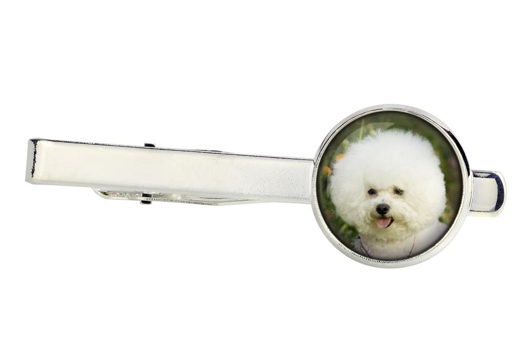 Bichon Frise, Bichon Tenerife, Bichon a poil frise - spinki do mankietów i krawat ze zdjęciem, ozdoba garnituru, biżuteria męska marki Art-Dog.