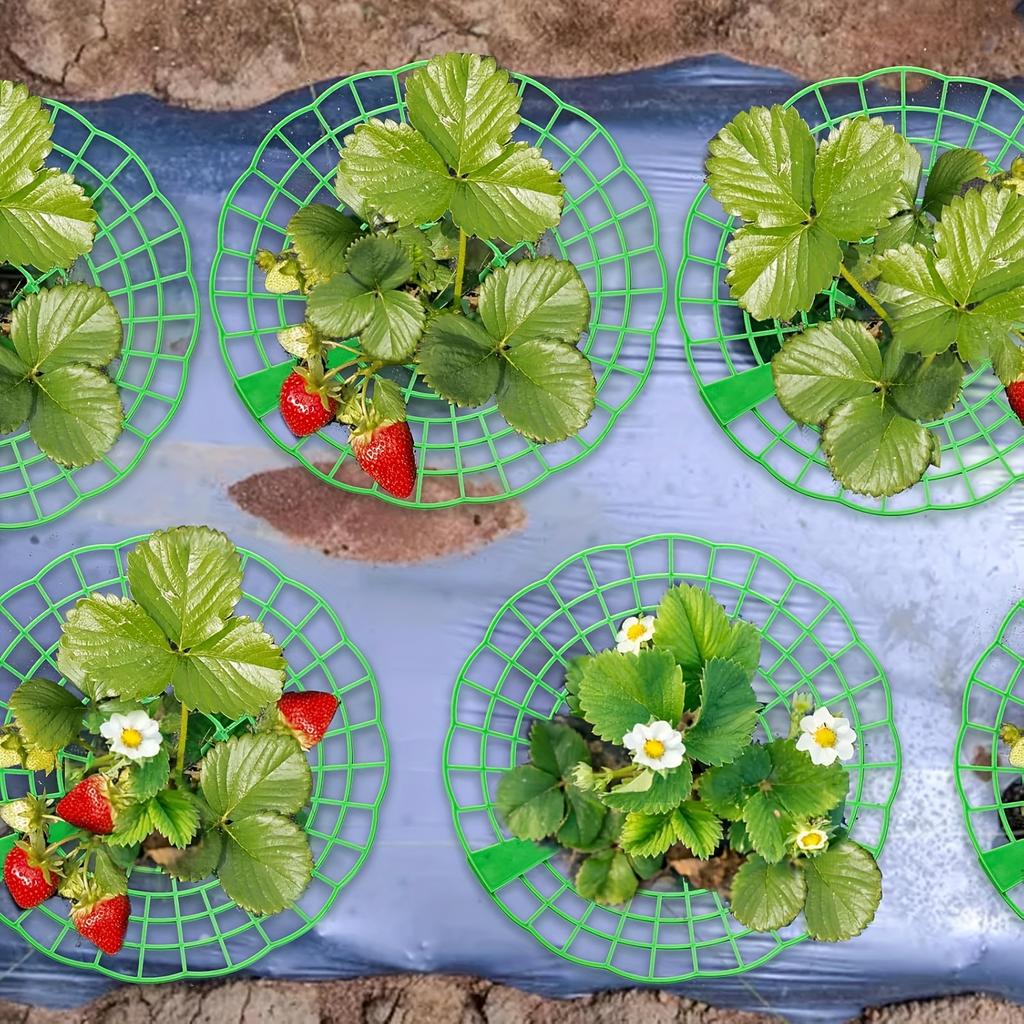 16 Stück Grüner Erdbeer-Pflanzständer mit 3 stabilen Beinen - PVC-Pflanzenstützkäfig, Korrosions- und Fäulnisbeständig für Hausgarten,