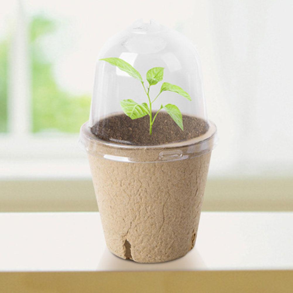 10Pcs Seedling Cup Seed Starter Transparent Lid Greenhouse Breeding Box Biodegradable Plant Growing Cup Versatile for Gardening