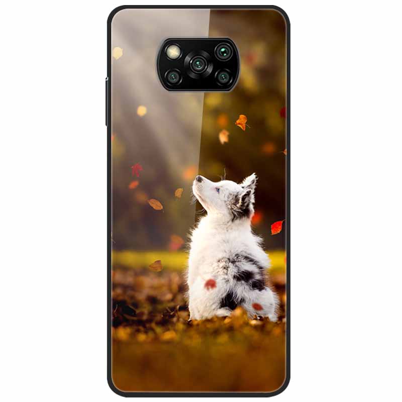 Etui na Poco X3 Pro Modne Urocze Szkło Hartowane Luksusowe Pokrowce Coque dla Xiaomi Poco X3 NFC Etui PocoX3 X 3 Zderzak Ochronny