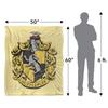 Harry Potter Ravenclaw Painted Blanket