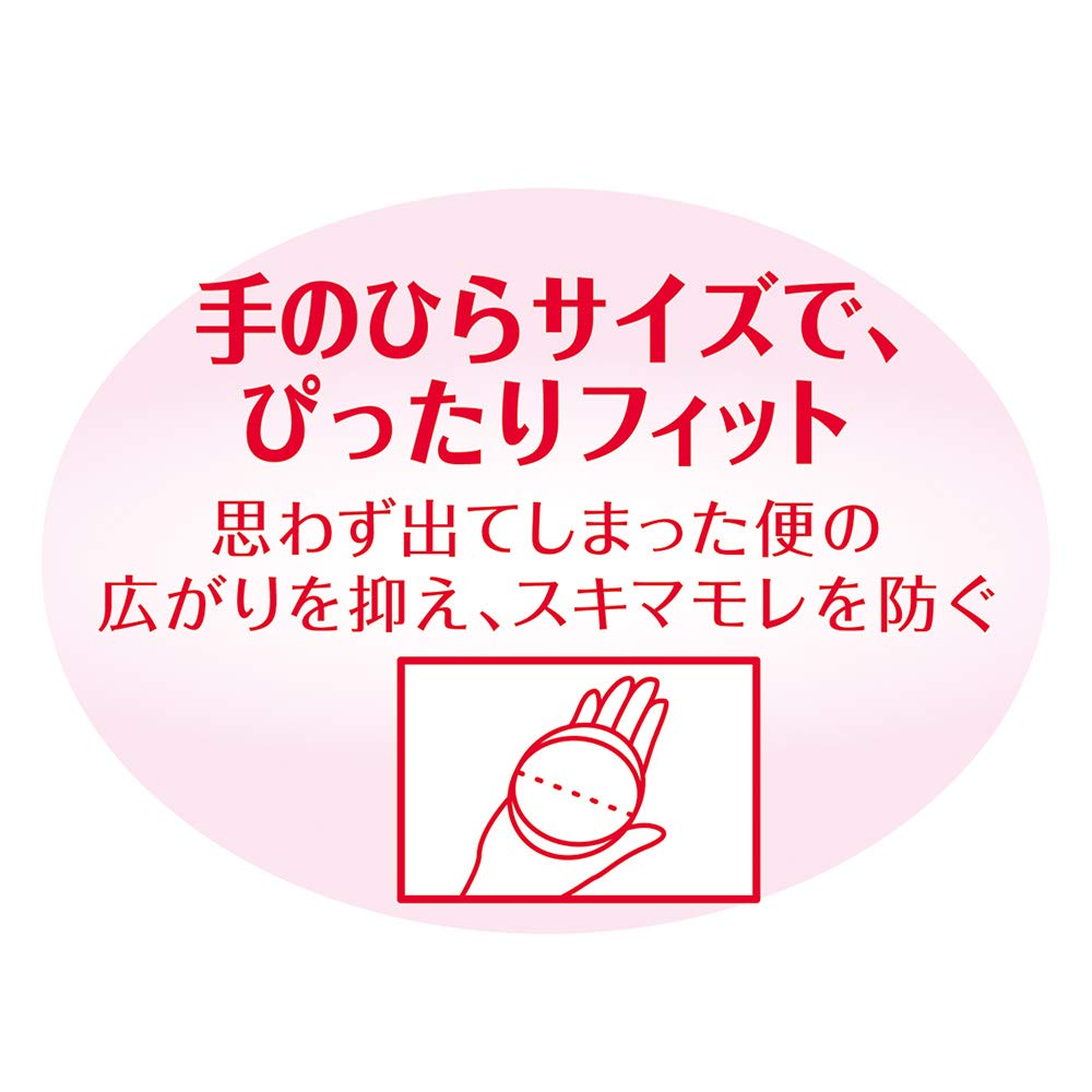 Lifree Refreshing Pads for Light Stool 17 Pads Those Who Are Concerned About Light Stool Leakage, (For Leakage)