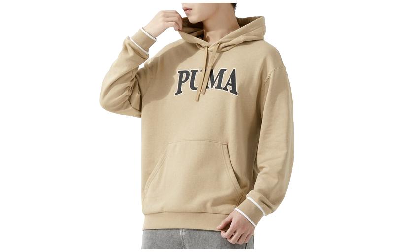 Puma Sweatshirts Men's Hooded Moderate Regular 681253-83