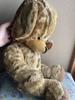 [USED] Large Vintage Cheeky Bear REG Cheeky Bear Vintage Teddy Bear