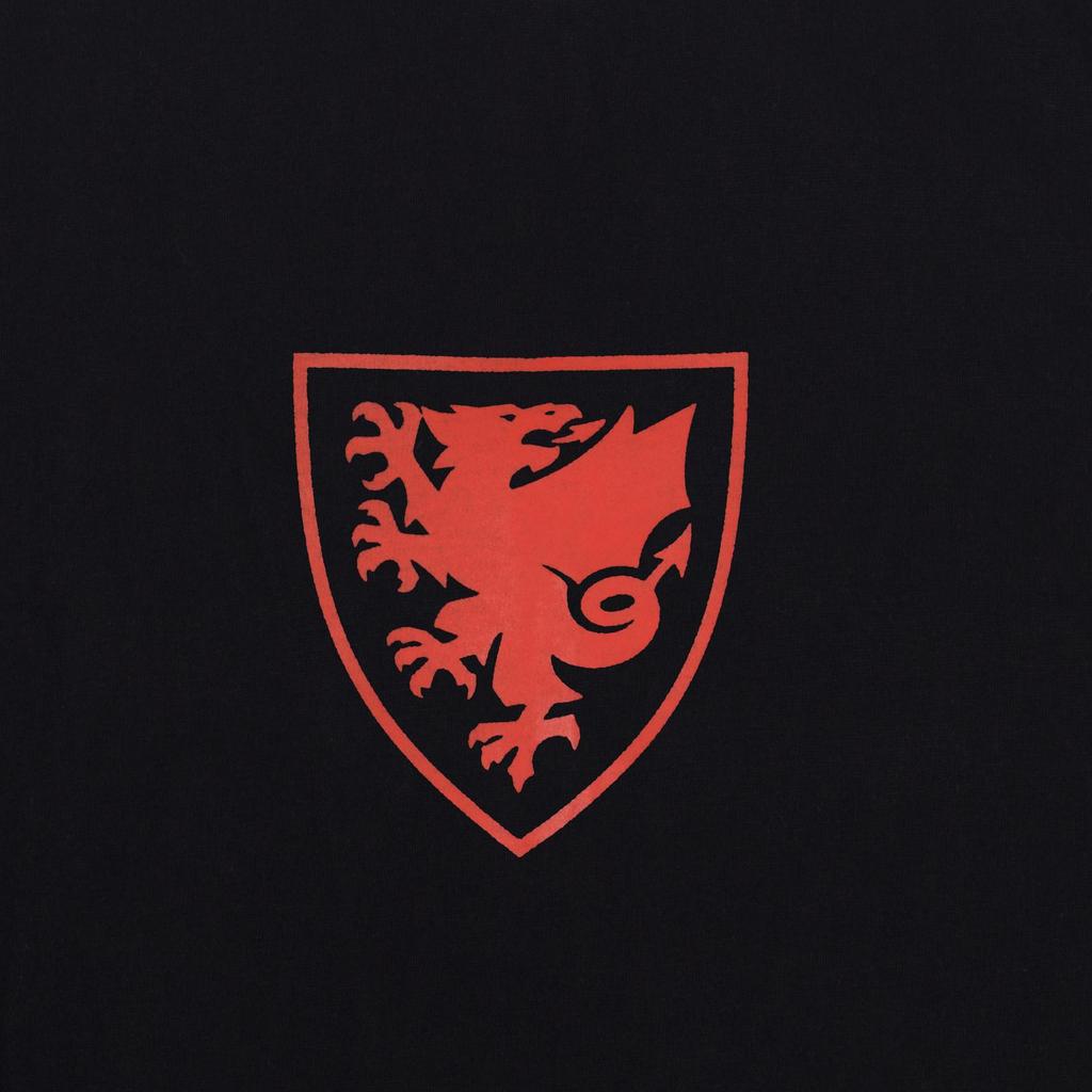 Wales Cymru Boys Graphic T-Shirt