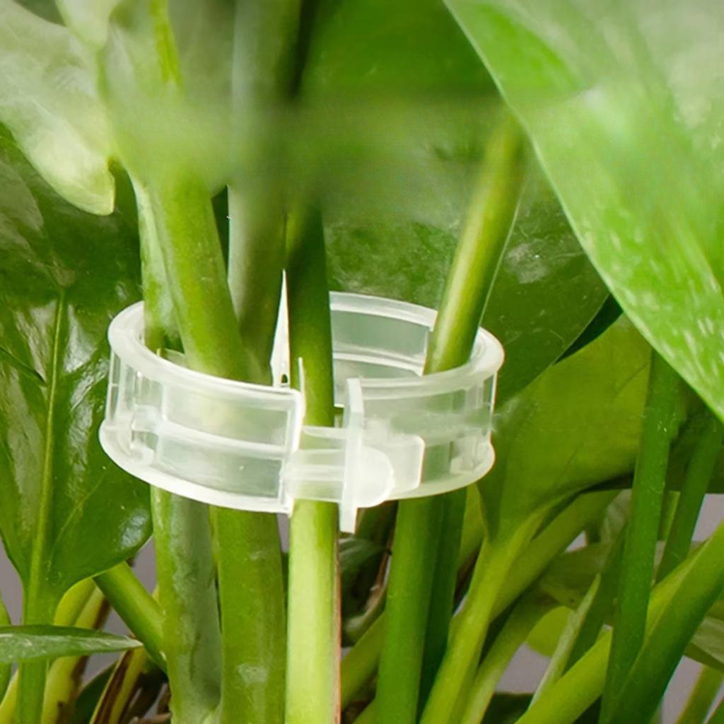 100-800PCS Plant Fixing Clips Reusable Plant Vegetables Vine Connects Fixing Tool Tomato Grafting Protect Garden Supplies