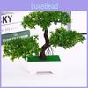 Fake Bonsai Tree Plastic Plant Home Decor Landscape For Living Room And Office