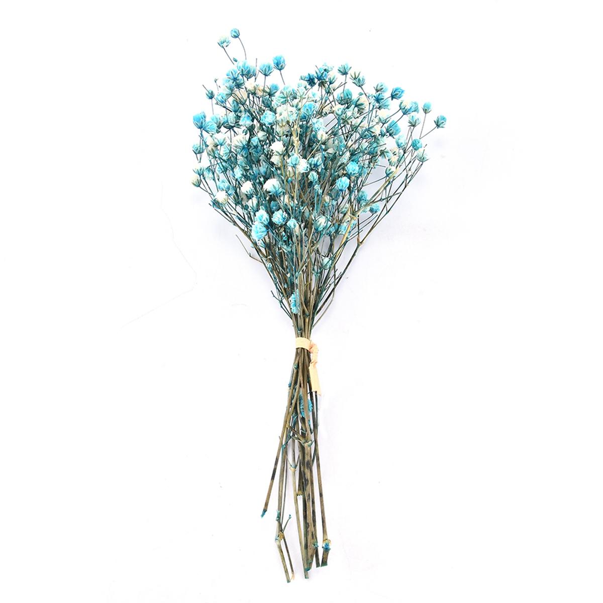 Фотофон Натуральный Декоративный Маленький Сухоцветы Букет Гипсофилы Сухоцвет blue