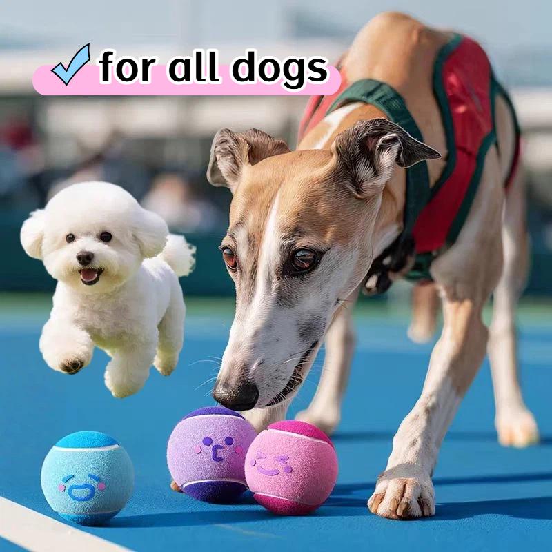 Süßer Ausdruck Elastisches Tennis Haustier Spielzeug Interaktiv Farbblock Elastische Kugel Hund Training Langeweile lindern Tennis Für Hund Zubehör