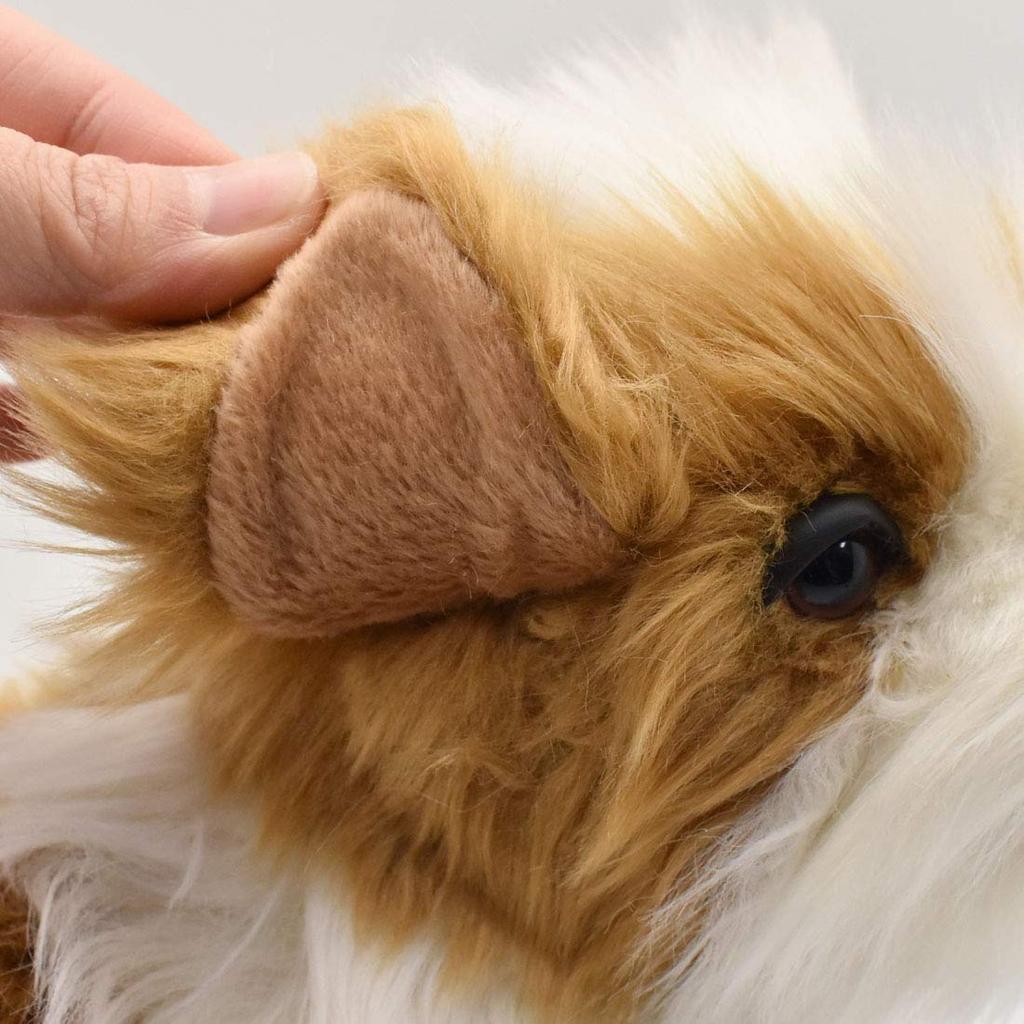 BH7030 HANSA Shih Tzu 30