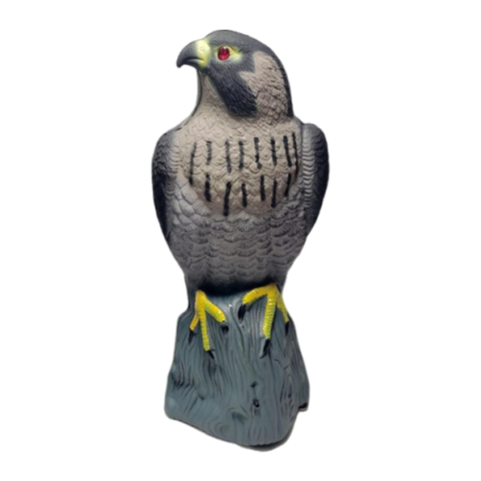 

Eagle Decoy Statue Scarecrow, Orchard Hotel Courtyard Lawn Garden Guardian Hawk