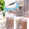 Bird Feeder Automatic Hanging Cup Food Dish for Cockatiels Canaries for Sun Conu