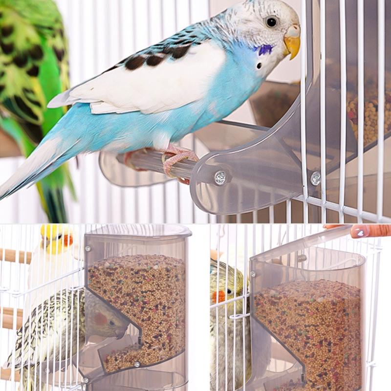 Bird Feeder Automatic Hanging Cup Food Dish for Cockatiels Canaries for Sun Conu