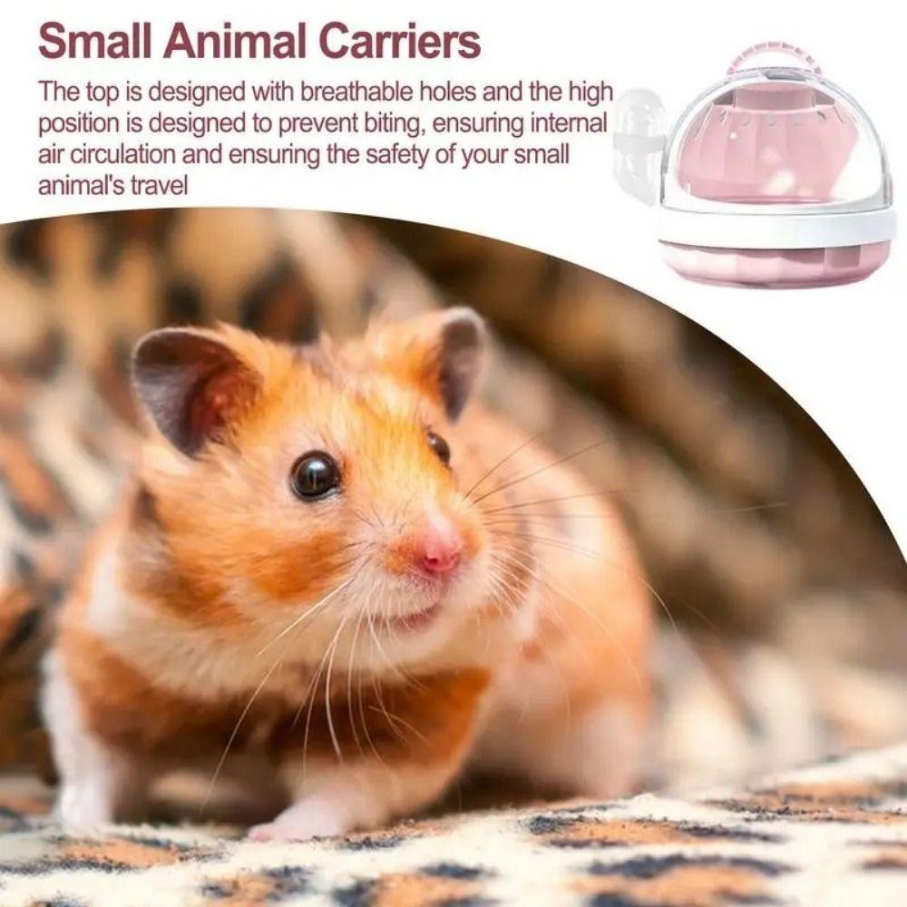Safe Door Lock Small Animal Carrier Cage Portable Hamster Outgoing Bag Hamster Carry Box Hedgehog