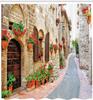 Tenda Doccia Strada Toscana con Ganci – Vicolo di Villaggio Italiano, Fiori Rossi e Muri in Pietra, Scena di Giorno di Sole in Marrone Vermiglio
