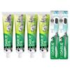 Tea-Pro Thyme Longjing Toothpaste 4-Pack with 2 Toothbrushes