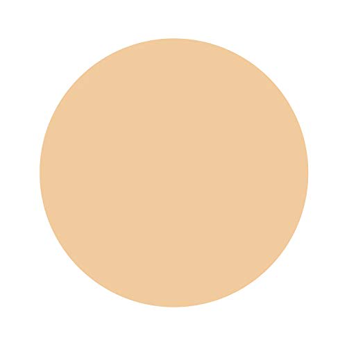 FASIO UV Concealer Light 01 4.5g