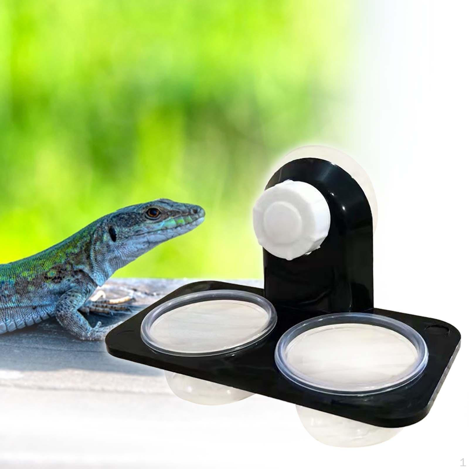 

Легко крепящаяся кормушка для рептилий: Легкая установка и практичность