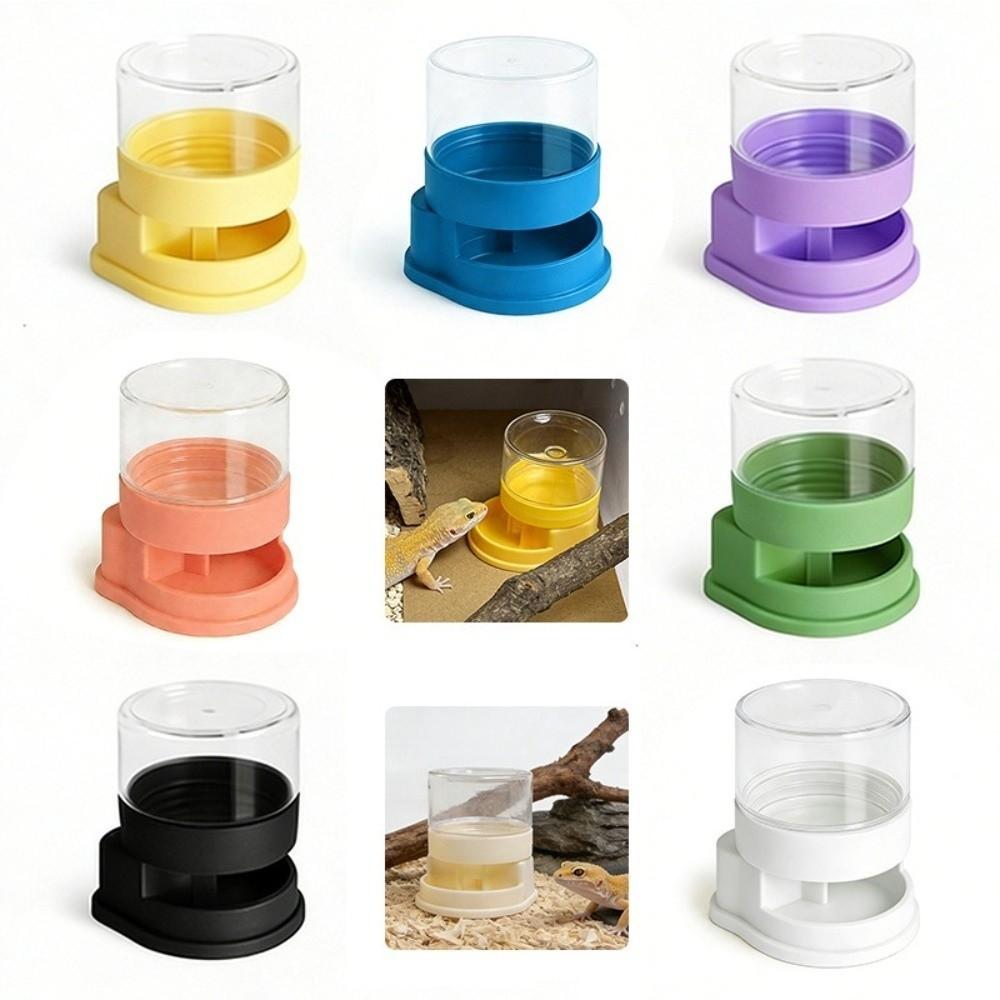 Anti-slip Base Reptiles Water Feeder Plastic Stable Automatic Water Dish Detachable Reptile Water Dispenser