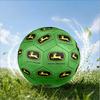 Futebol – Bolas de futebol