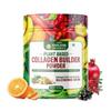 Plant Based Collagen Builder Powder For Skin Hair Nails Support And Beauty Care Supplement 250 G