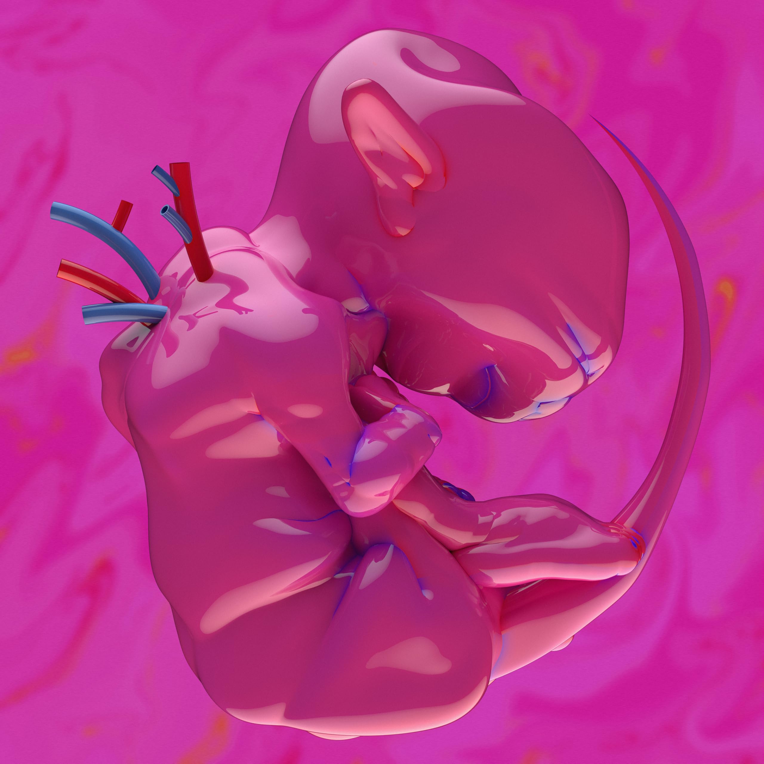 

эхолаптоменос